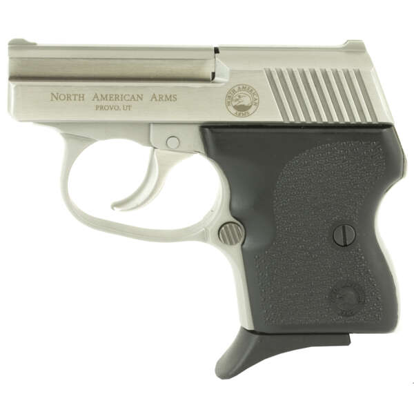 NAA GUARDIAN 32ACP 6RD STS