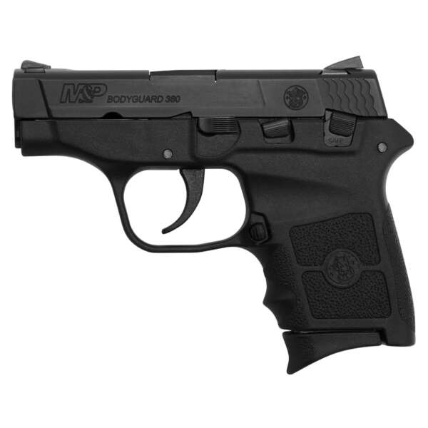 S&W BDYGRD 380ACP 6RD 2.75 NO LSR