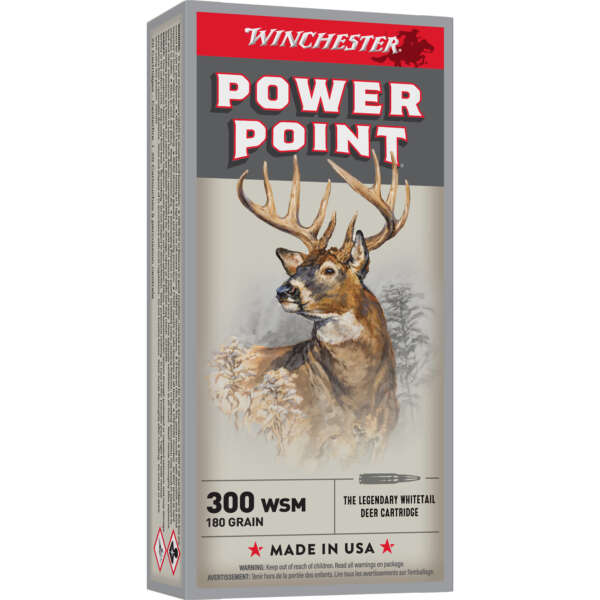 WIN SPRX PWR PNT 300WSM 180GR 20/200