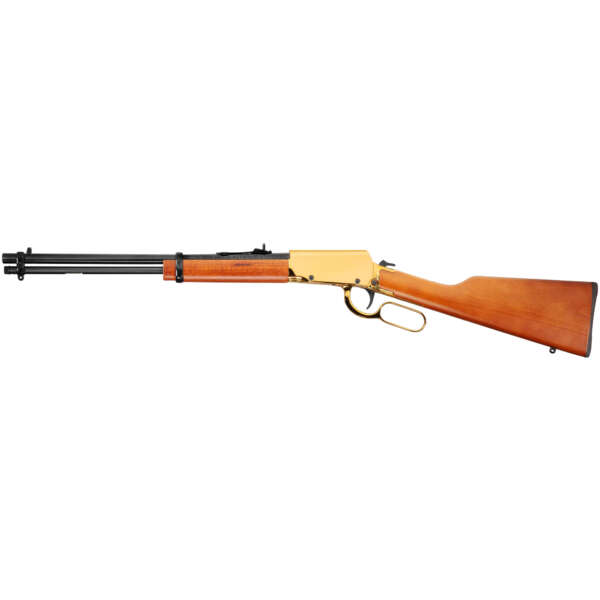 ROSSI RIOBRAVO 22LR 18" 15RD GOLD/HW