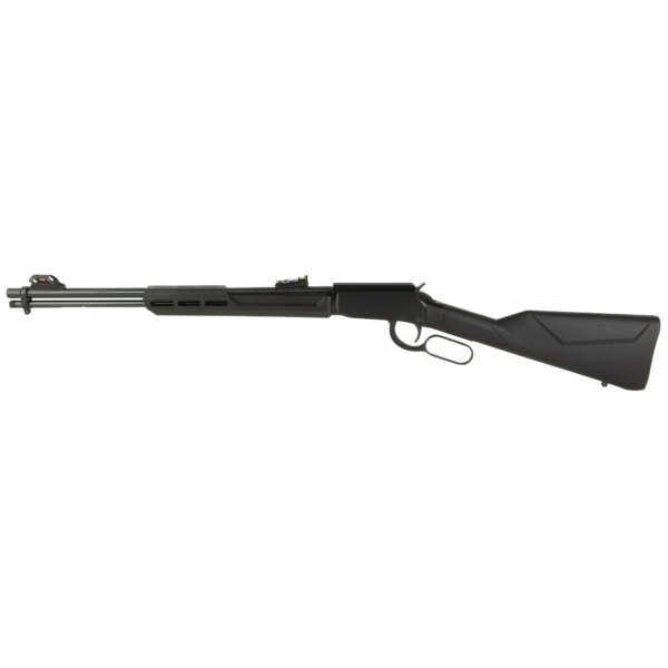 ROSSI RIOBRAVO 22WMR 20" 12RD BLK